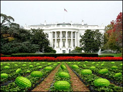 watermelons, debt ceiling, GOP,